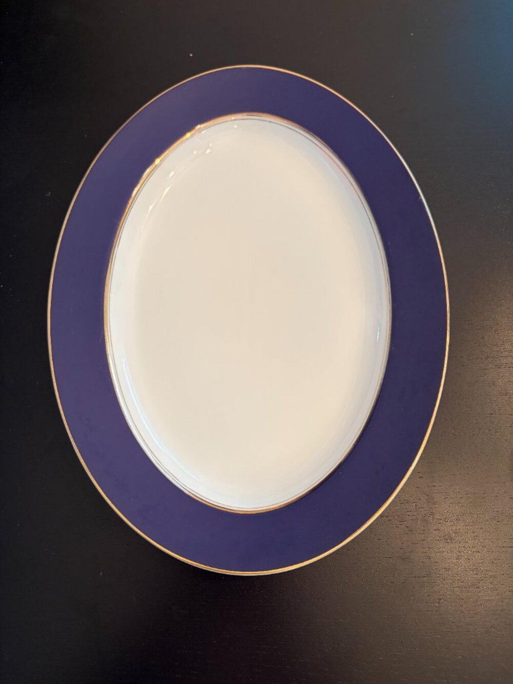 Mikasa Royal Blue Oval Platter Cathy Hardwick L6056 Vintage Discontinued